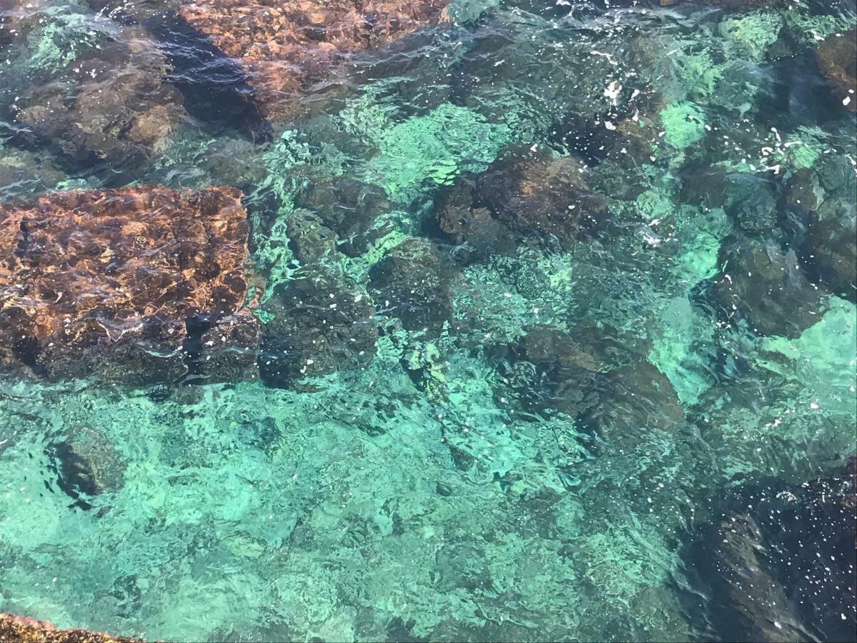 Sicily Mon Amour Ortigia 锡拉库扎 外观 照片